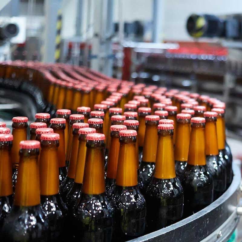Beer Bottles Conveyor Belt