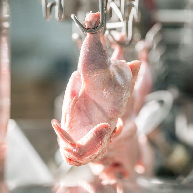 Meat Processing