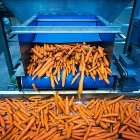 Food Processing